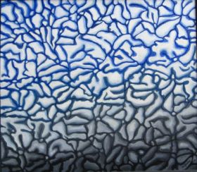 26 Astreomorpha blau.JPG
