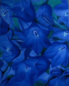 61 Bluebells.jpg